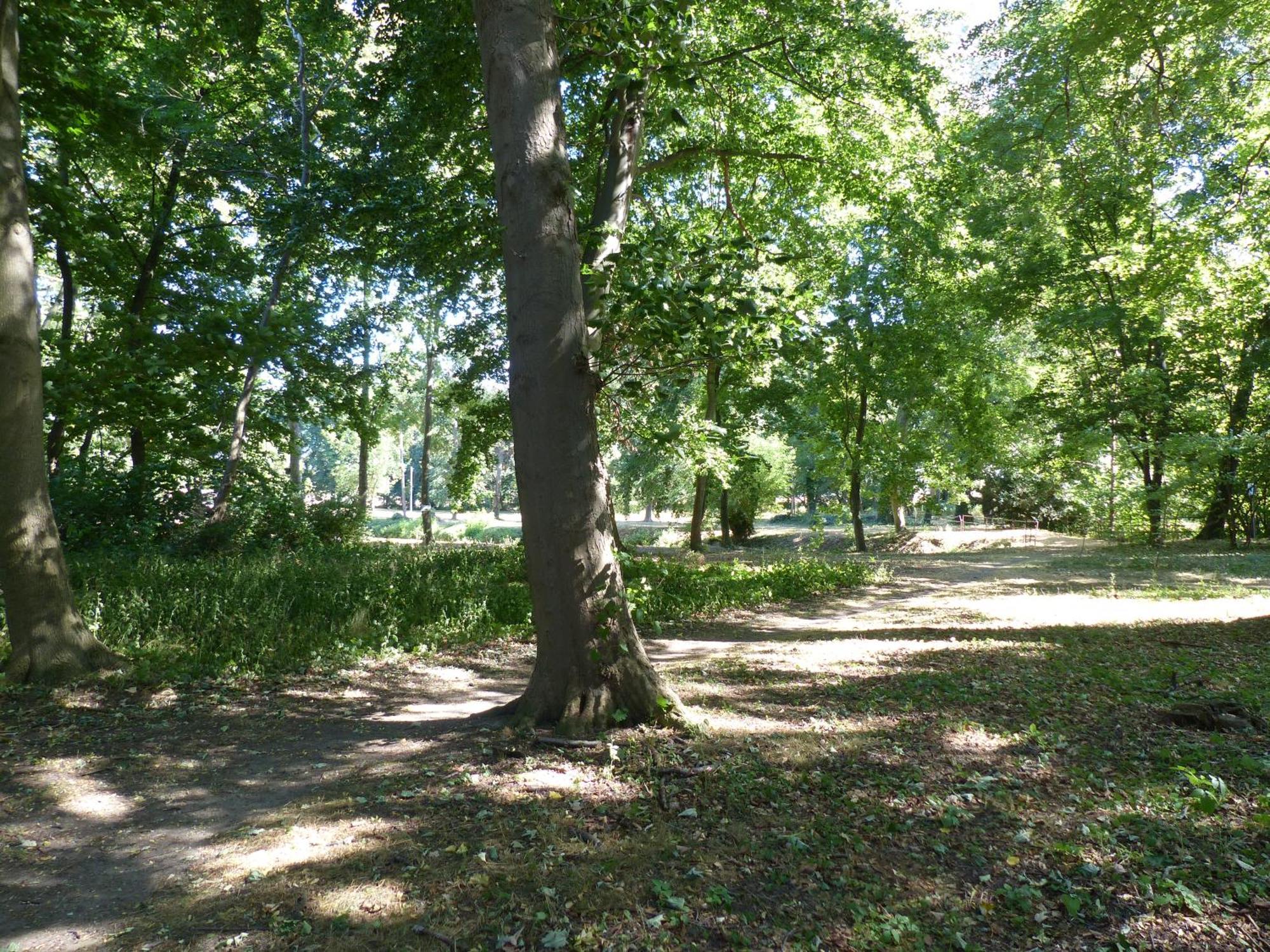 Ferienwohnung Mit Brockenblick Langenstein Экстерьер фото
